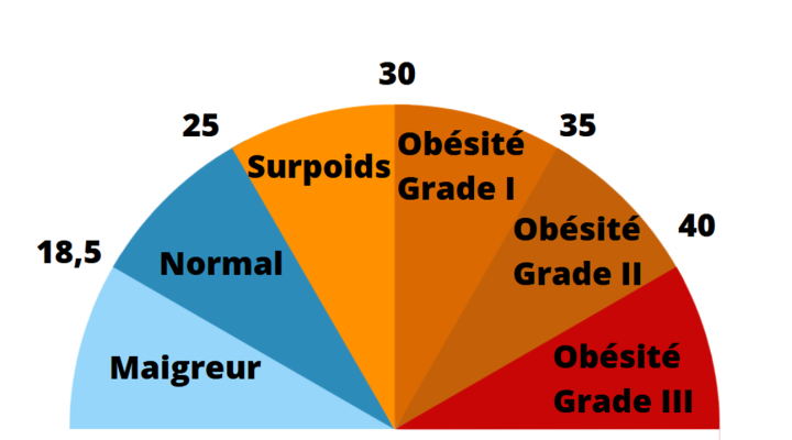 Newsletter #Novembre2023 - Mieux comprendre l'IMC